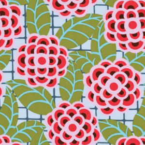 Zinnia