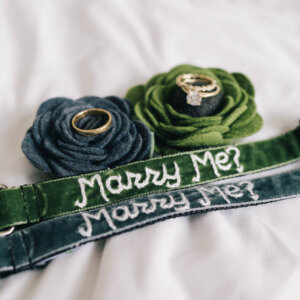 Marry Me dog collars and rings