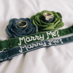 Marry Me Wedding Proposal Dog Collar *36 Velvet Colors