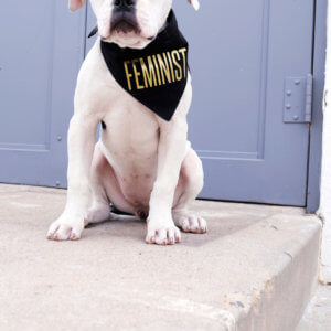 american bulldog feminist bandana
