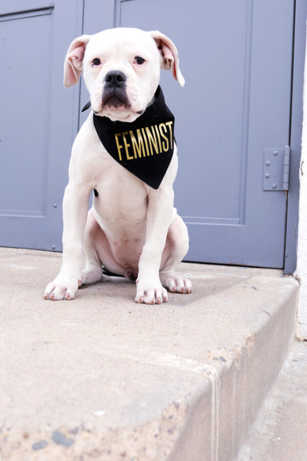 Feminist Dog Bandanas Handmade in the USA