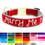 Marry Me Wedding Proposal Dog Collar *36 Velvet Colors