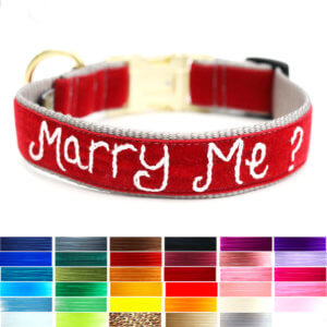 marry me dog collar match wedding colors