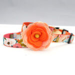 Orange Magnolia Dog Collar Flower