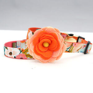 peach magnolia dog collar flower