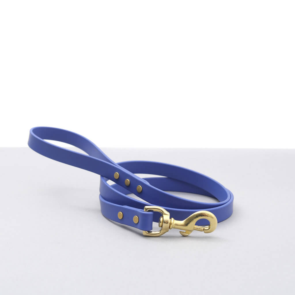 Custom & Personalized Designer Dog Leashes - Shop at Mimi Green