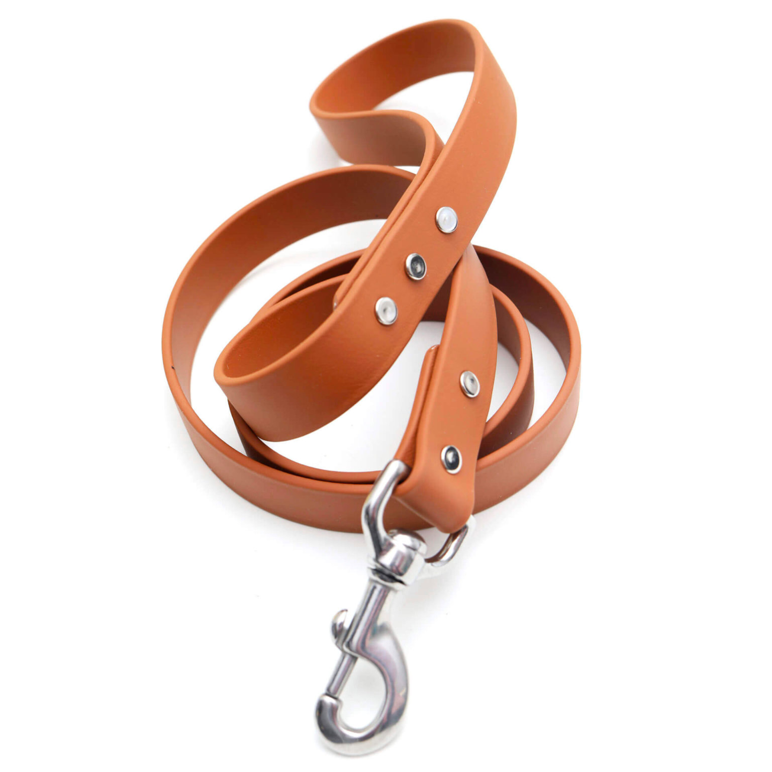 Custom & Personalized Designer Dog Leashes Shop at Mimi Green