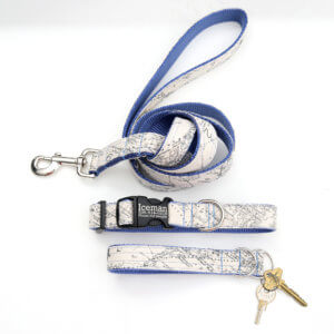 compass map dog collar