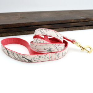 airplane travel map dog leash