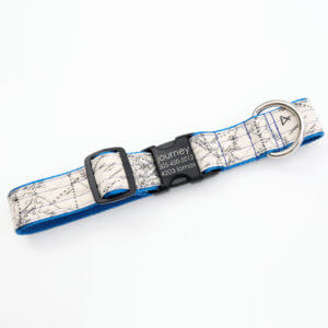 travel dog collar big dog