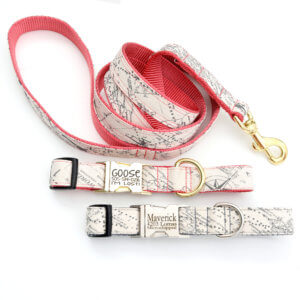 nautical map dog collar