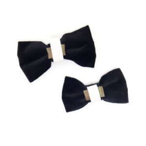 black velvet dog collar bowtie back
