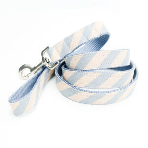 blue stripe dog leash