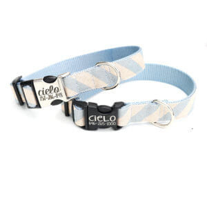 blue stripe dog collar