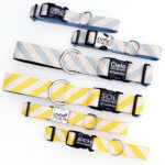 'Sol & Cielo' Striped Yellow and Blue Cabana Dog Collar - 1.5" WIDE for big dogs