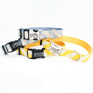 Yellow stripe blue stripe dog collar