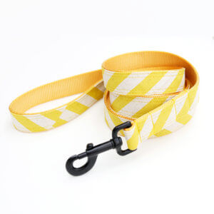 yellow stripe dog leash