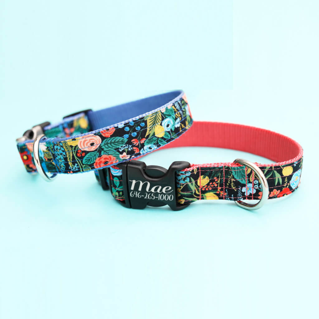 engraved rifle paper co dog collar