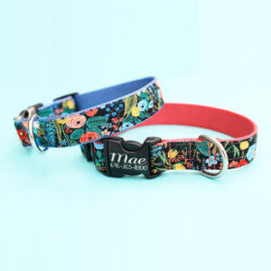 engraved rifle paper co dog collar