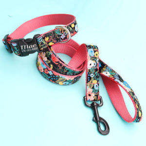 rifle paper co dog collar and leash set