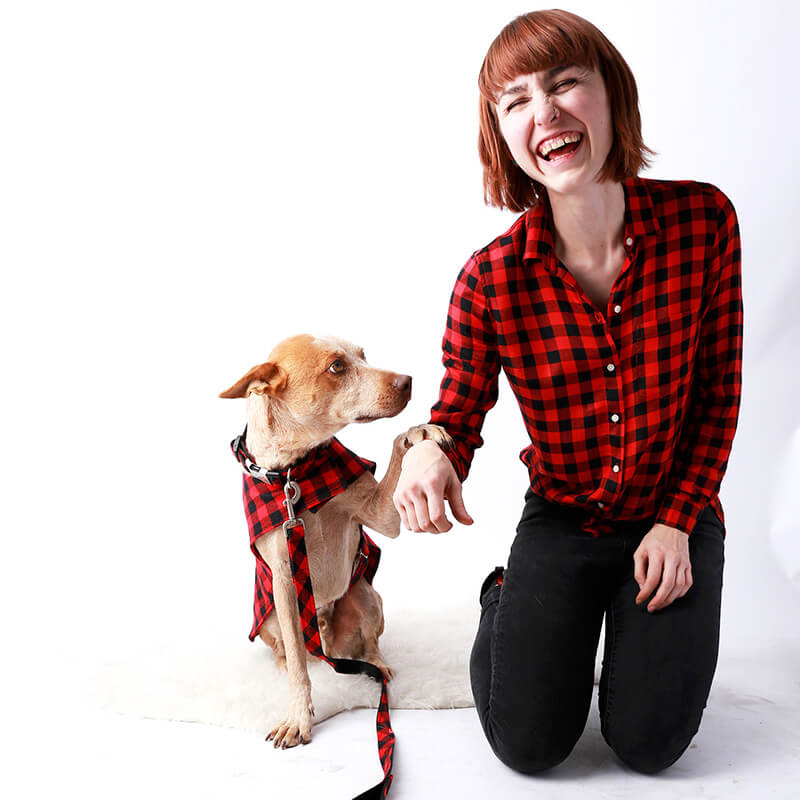 Medium/large pet choker in green and red fabric