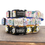 Daisy Floral Dog Collar - Three Colors with Optional Personalization