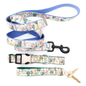 pink daisy dog collar and leash