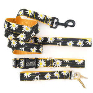 white daisy dog collar and leash
