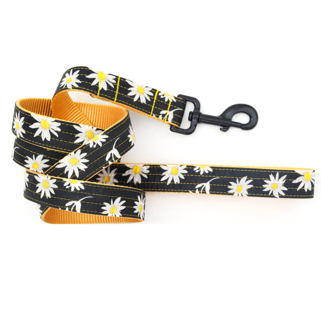 black and white daisy dog leash