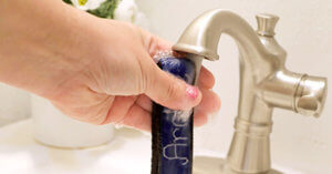 washing a dog collar