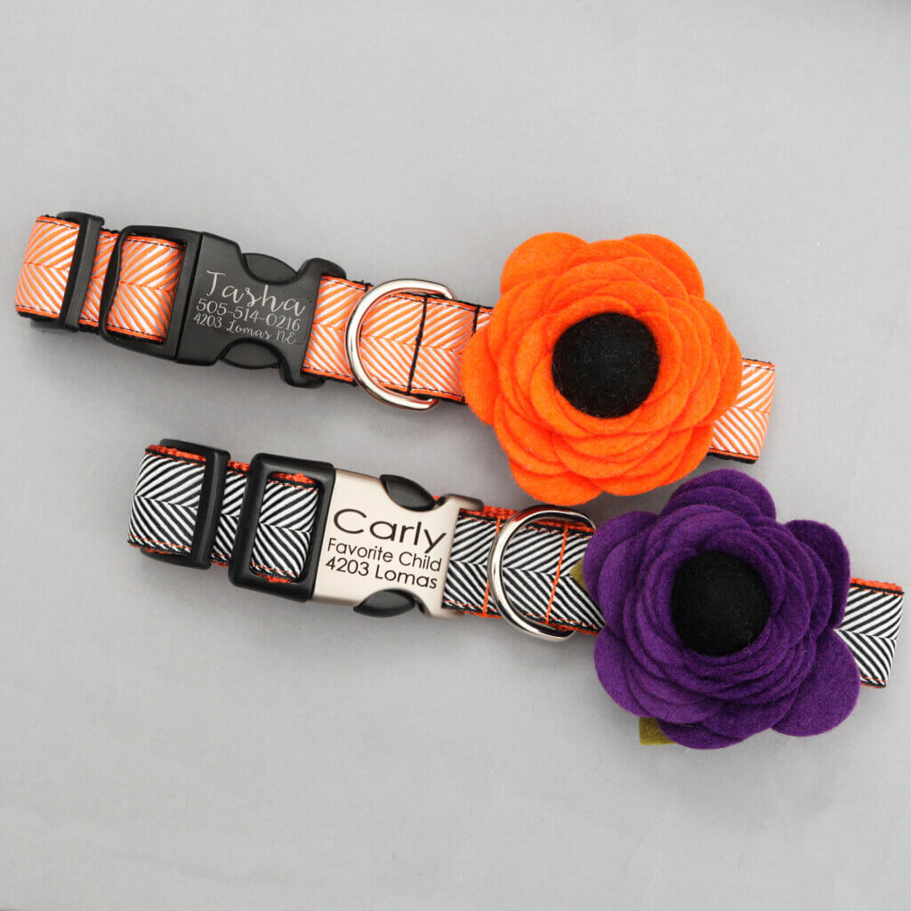 halloween-dog-collar-flowers-engraved