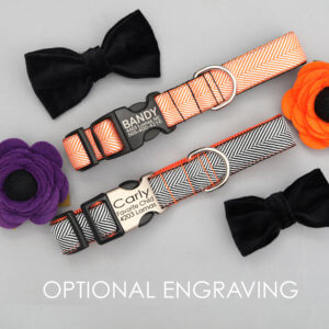 engraved halloween dog collar