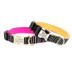 paz beachy dog collar