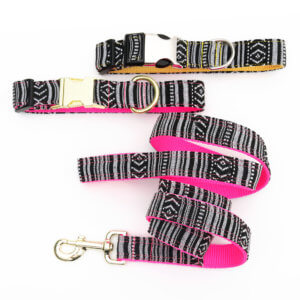 black and white dog collar