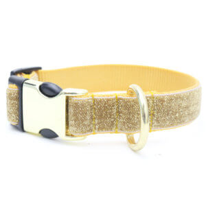 gold glitter dog collar