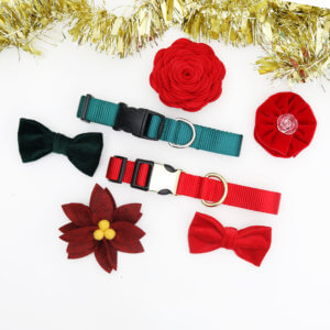 holiday dog accessories