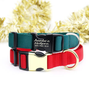 holiday dog collar