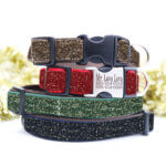 Starlight Glitter Velvet Dog Collar -- Holiday Collar