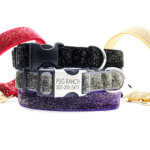Starlight Glitter VELVET Dog Collar -- 8 Colors & Optional Engraving