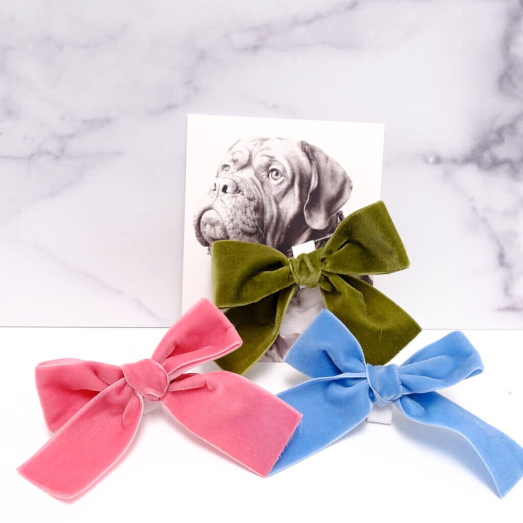 velvet bow for dog collar