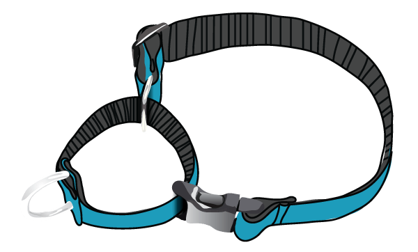 martingale illustration