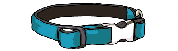 velvet collar illustration