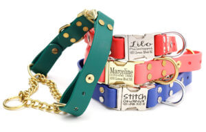 waterproof-quick-side-release-martingale-dog-collar-stack-1