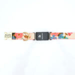 Fi Compatible Canvas Dog Collars - Optional Personalization