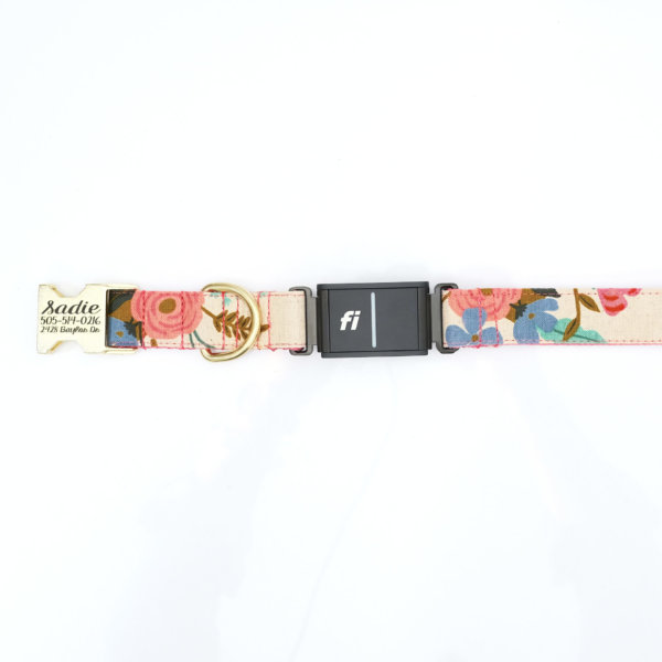 Fi 3 dog collar personalzied floral rifle paper canvas