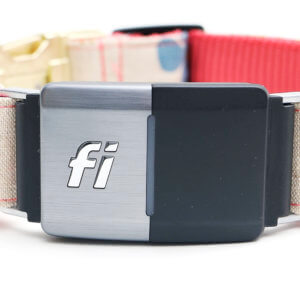 Fi Dog Collar