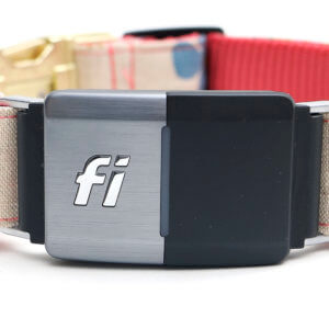 Fi Dog Collar