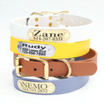 Waterproof Dog Collar with Riveted Nameplate -- Limited High Desert Colors