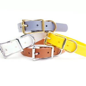 waterproof desert dog collars
