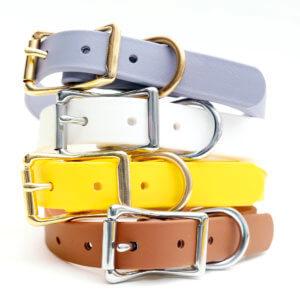 belt buckle waterproof dog collar